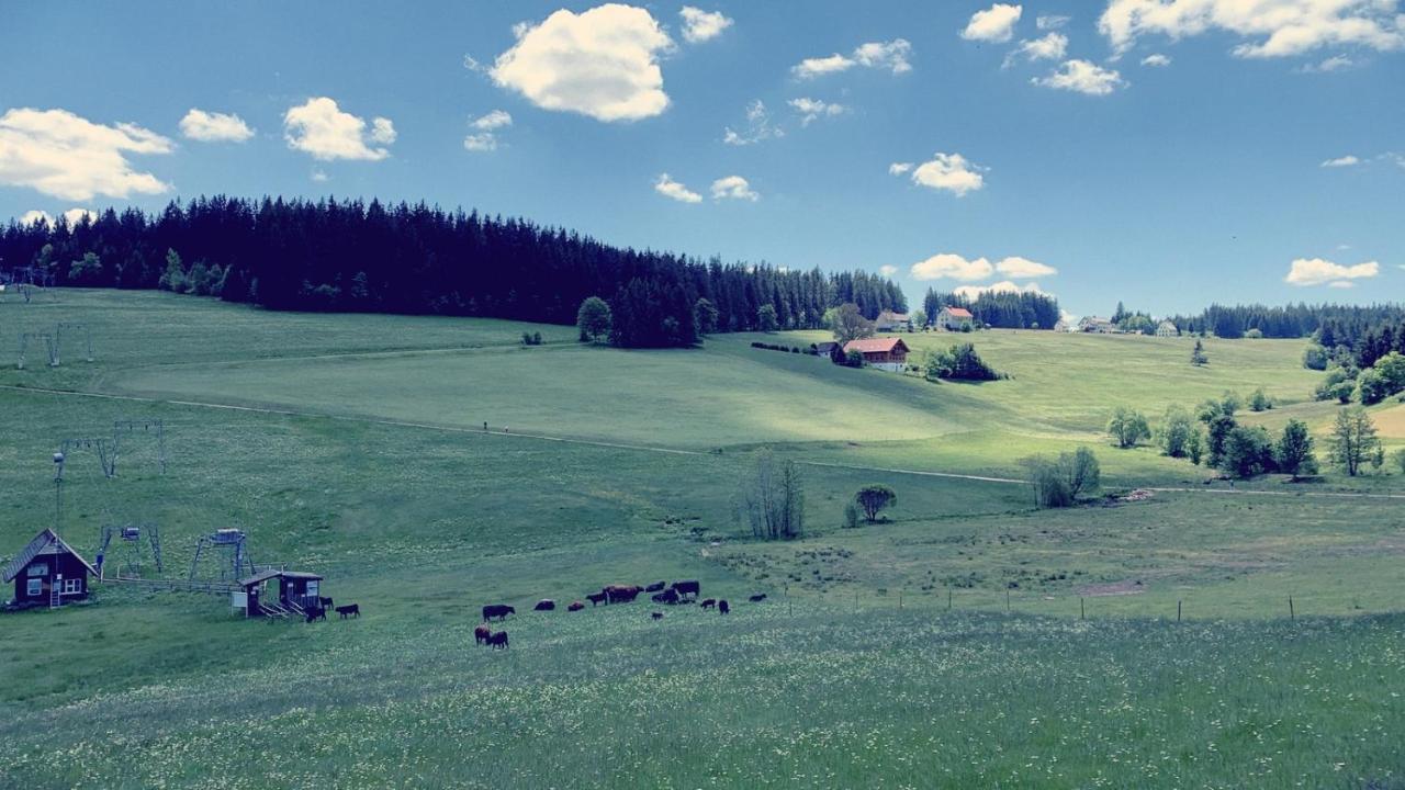 Daheim Im Hirschen Lägenhet Schönwalde Exteriör bild